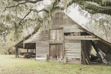 The American Farm: Beautiful Barns Variety Pack