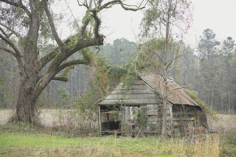 Once Upon A Farm Note Card
