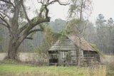 The American Farm: Beautiful Barns Variety Pack