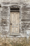 Abandoned Lives Variety Pack