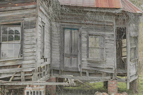 Better Days Photographic Print