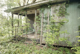 Abandoned Lives Variety Pack