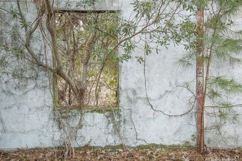 Atrium Photographic Print