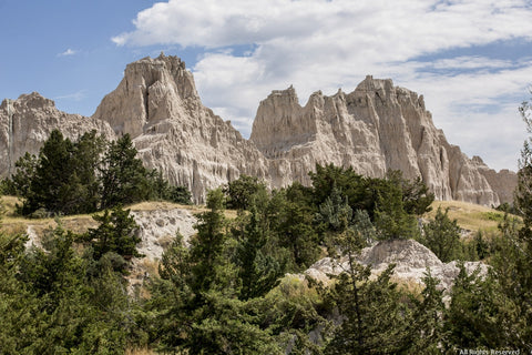 Badland Pines Photographic Print