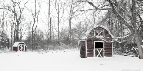Fallen Snow Note Card