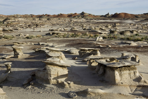The Bisti