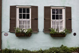Window Boxes Variety Pack