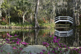 The Colors of Charleston Variety Pack