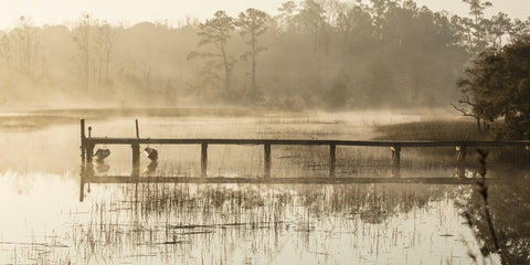 Still Waters Note Card