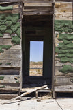 Abandoned Lives Variety Pack