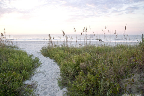 Pathway to Folly Note Card