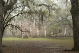 The Colors of Charleston Variety Pack