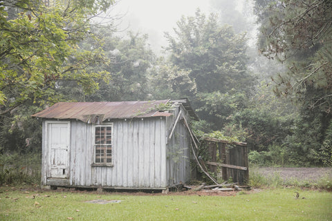 The Garden Keeper Photographic Print