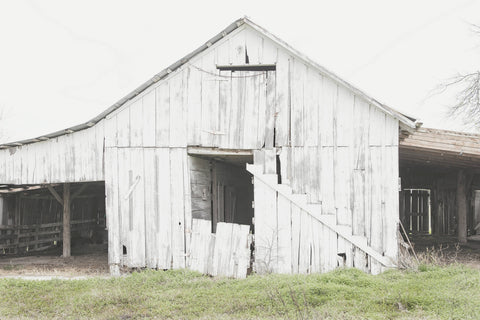 White Washed Photographic Print