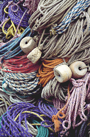 The Maine Ropes Photographic Print