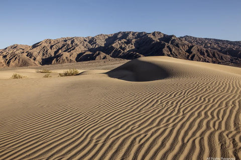 Death Valley Sands Photographic Print
