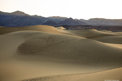 Sweeping Sands Photographic Print