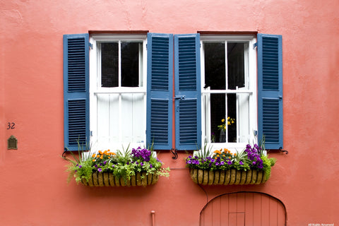 Blue Shutters Note Card
