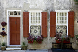 The Colors of Charleston II Variety Pack