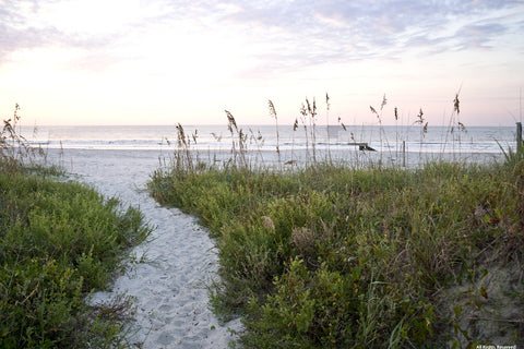 Pathway to Folly Photographic Print