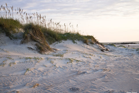 Folly Dawn Note Card