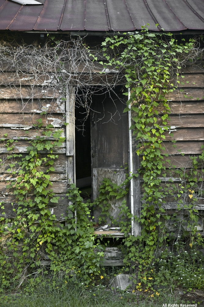 Palace Door