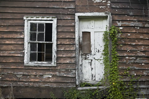 Abandoned Palace Photographic Print