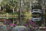 Magnolia Plantation Variety Pack