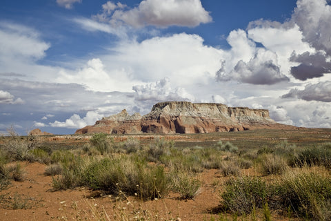Navajo Nation: The Road Out