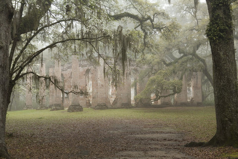 Old Sheldon Church