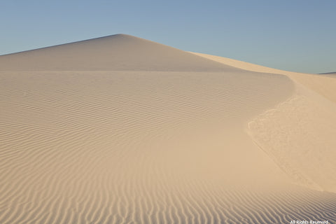 Golden Horizon Photographic Print