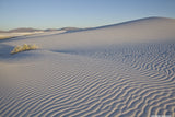White Sands Variety Pack
