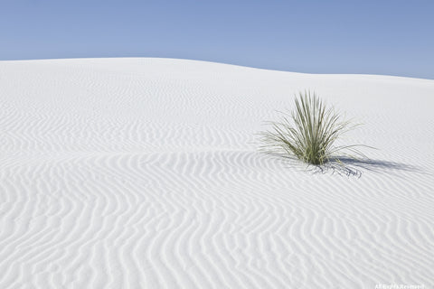 White Sands Photographic Print