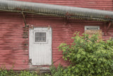 Abandoned Lives Variety Pack