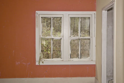 Windowpane