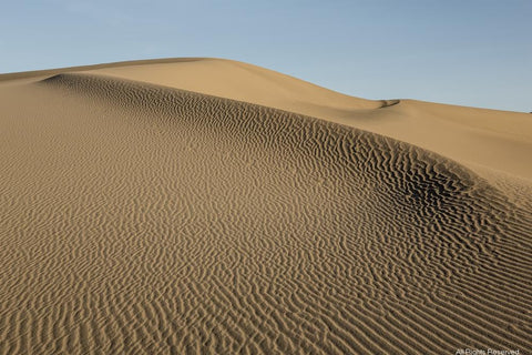 Sand Scrolls Photographic Print