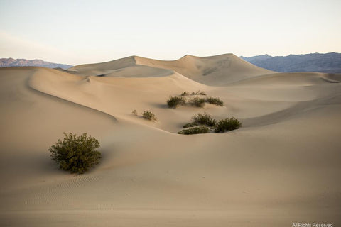 Death Valley Dunes Photographic Print