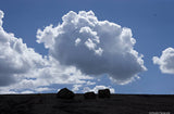 Enchanted Rock Variety Pack