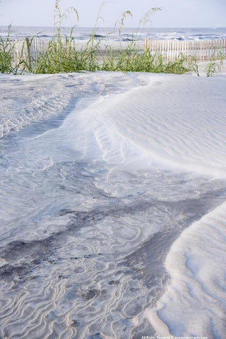 Folly Dunes Photographic Print