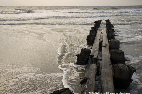 Sea Wood Photographic Print