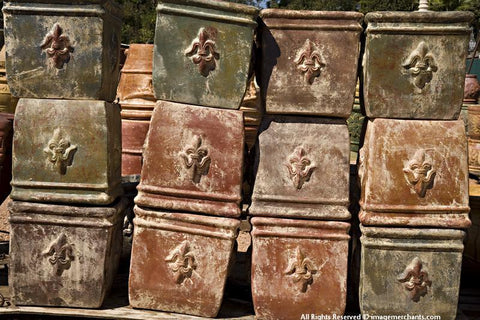 Box Cars Photographic Print