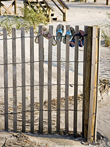 Folly Shoes Photographic Print