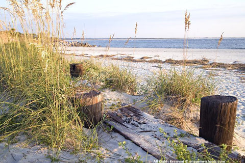 Folly Beach Note Card