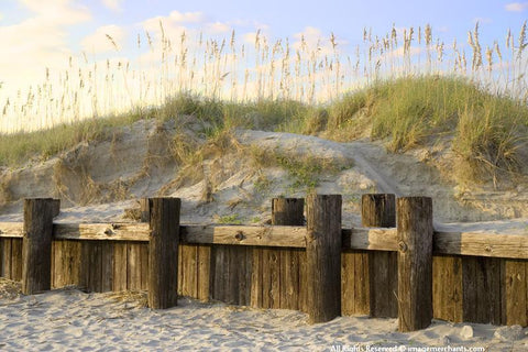 Morning at Folly Note Card